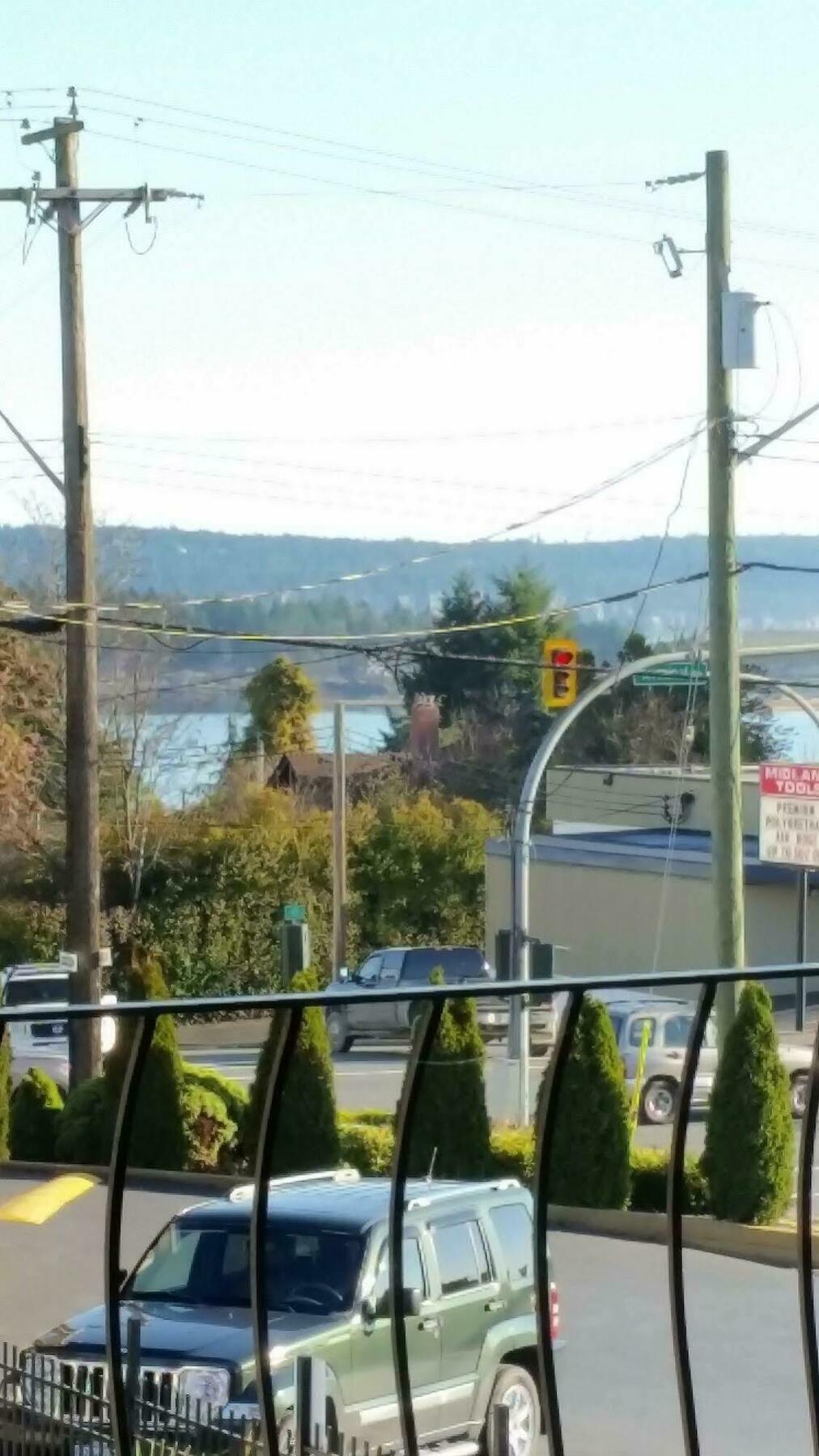Port-O-Call Inn Nanaimo Kültér fotó
